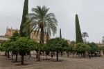 PICTURES/Cordoba - Mosque-Cathedral/t_DSC00621.JPG